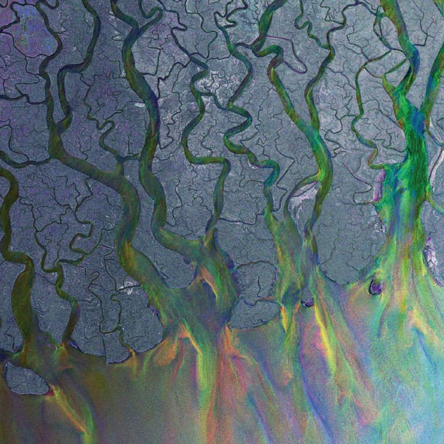Album cover 28